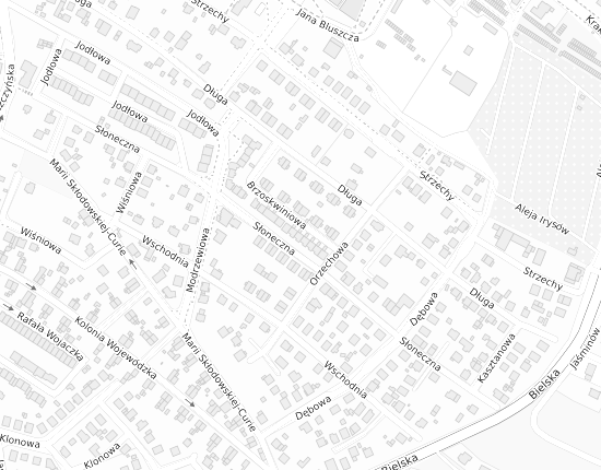 Mapa z adresem organizacji