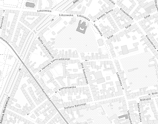 Mapa z adresem organizacji