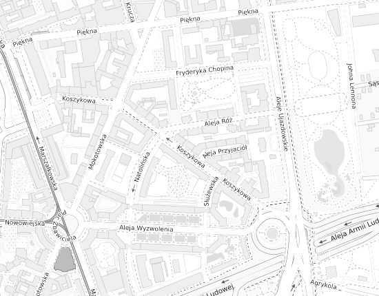 Mapa z adresem organizacji