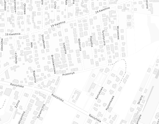 Mapa z adresem organizacji