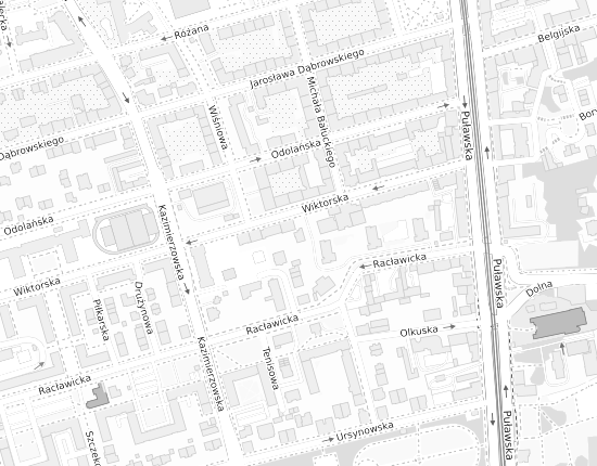 Mapa z adresem organizacji