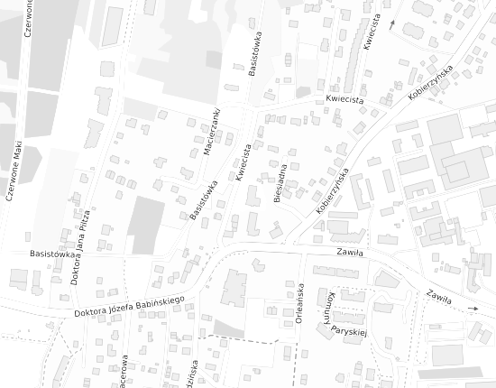 Mapa z adresem organizacji