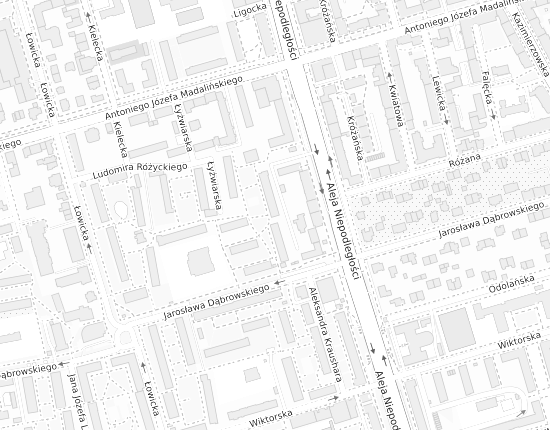 Mapa z adresem organizacji