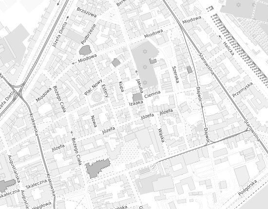 Mapa z adresem organizacji