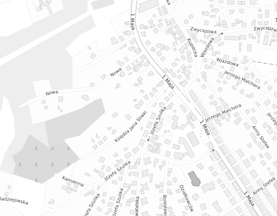 Mapa z adresem organizacji