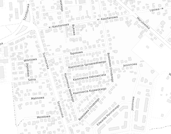 Mapa z adresem organizacji