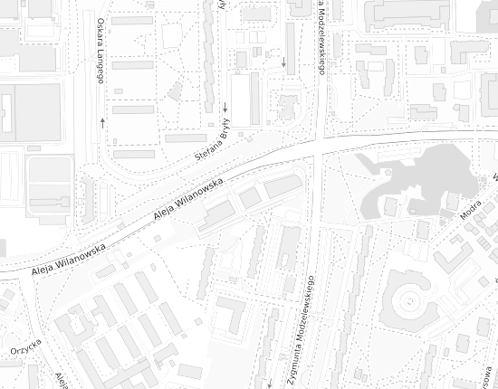 Mapa z adresem organizacji