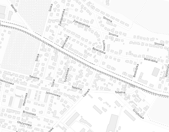 Mapa z adresem organizacji