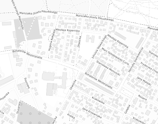Mapa z adresem organizacji