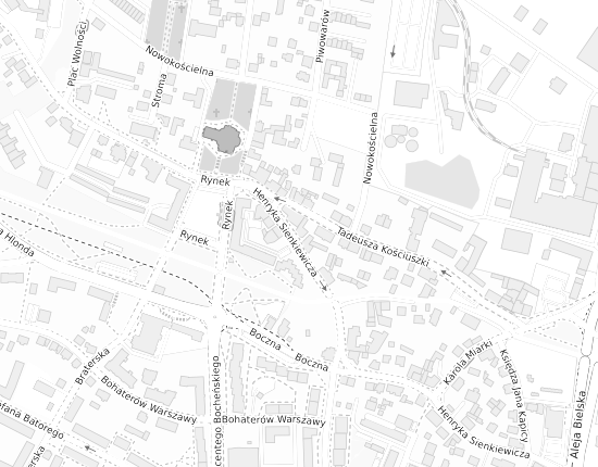 Mapa z adresem organizacji