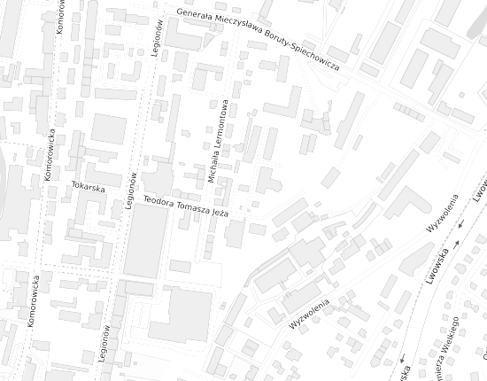 Mapa z adresem organizacji