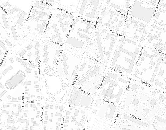 Mapa z adresem organizacji
