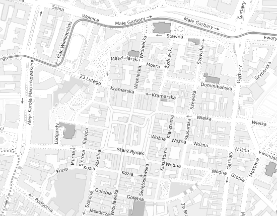 Mapa z adresem organizacji