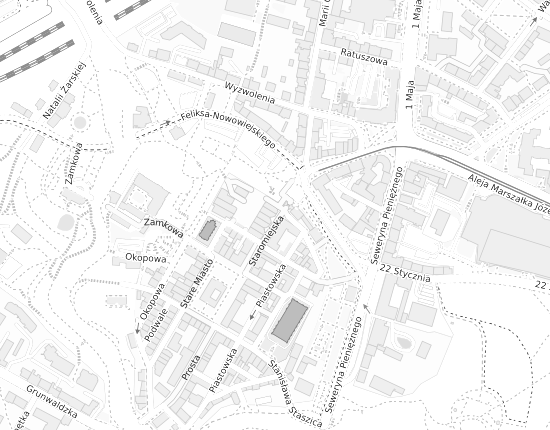 Mapa z adresem organizacji
