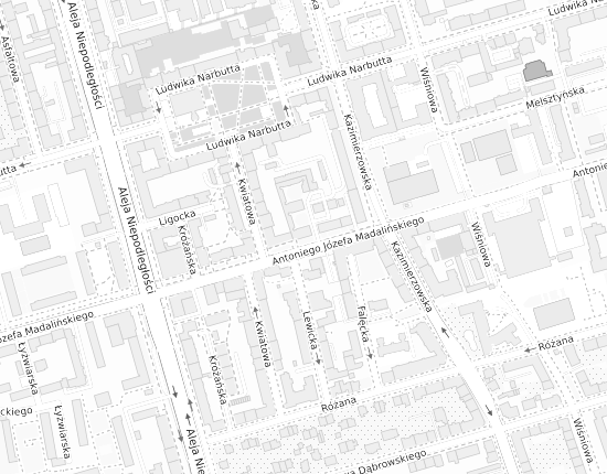 Mapa z adresem organizacji