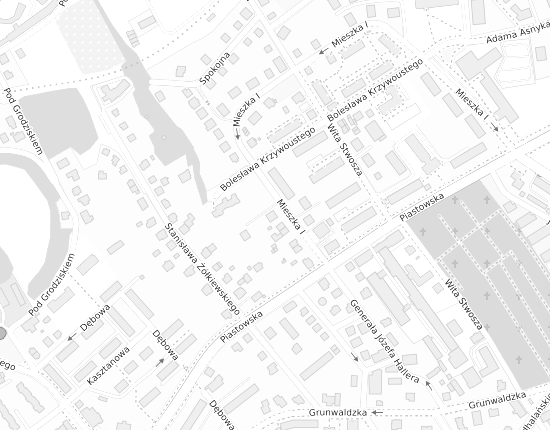 Mapa z adresem organizacji