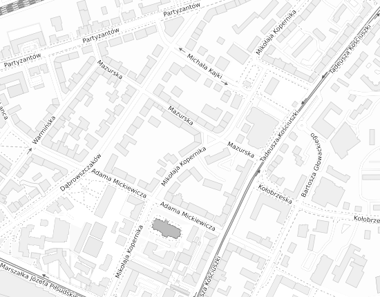 Mapa z adresem organizacji