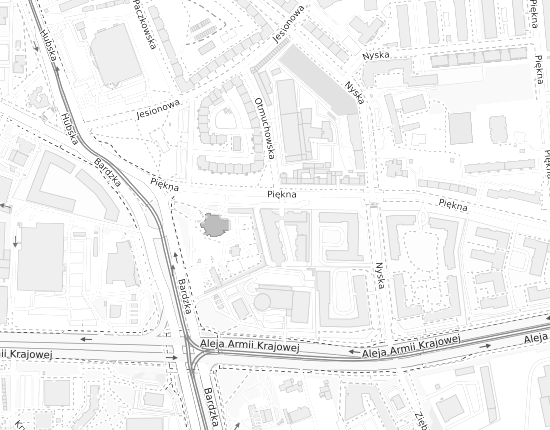 Mapa z adresem organizacji