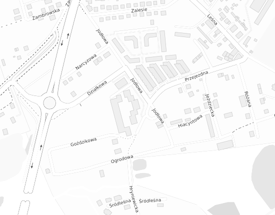 Mapa z adresem organizacji
