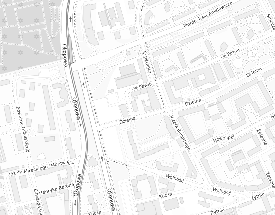 Mapa z adresem organizacji