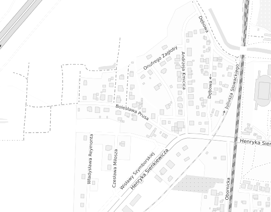 Mapa z adresem organizacji