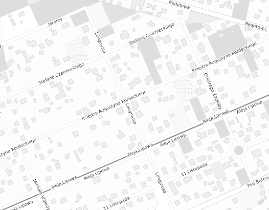 Mapa z adresem organizacji