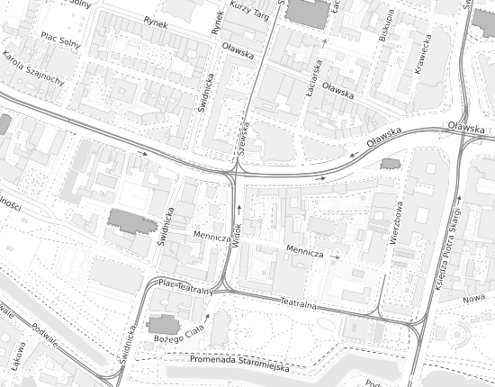 Mapa z adresem organizacji
