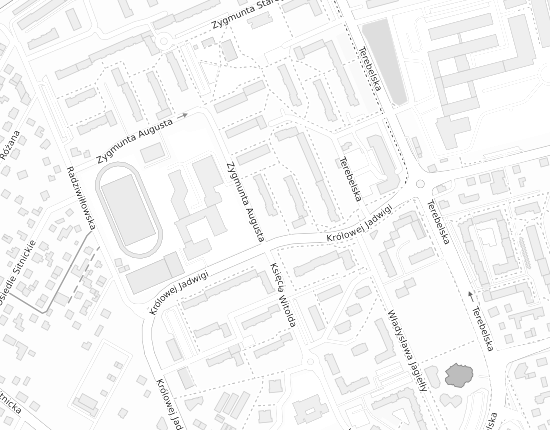 Mapa z adresem organizacji