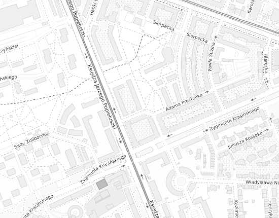 Mapa z adresem organizacji