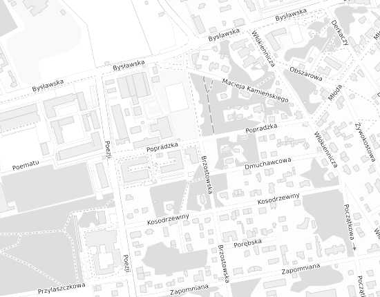 Mapa z adresem organizacji