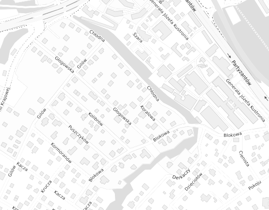 Mapa z adresem organizacji