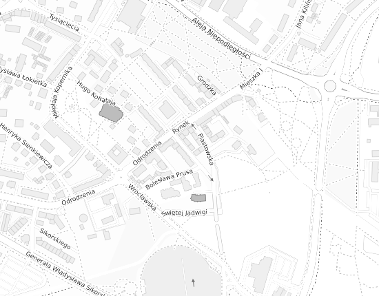 Mapa z adresem organizacji
