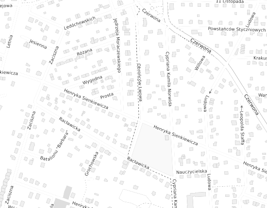 Mapa z adresem organizacji