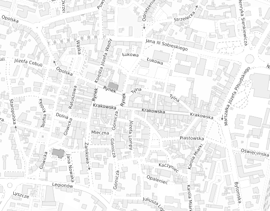 Mapa z adresem organizacji