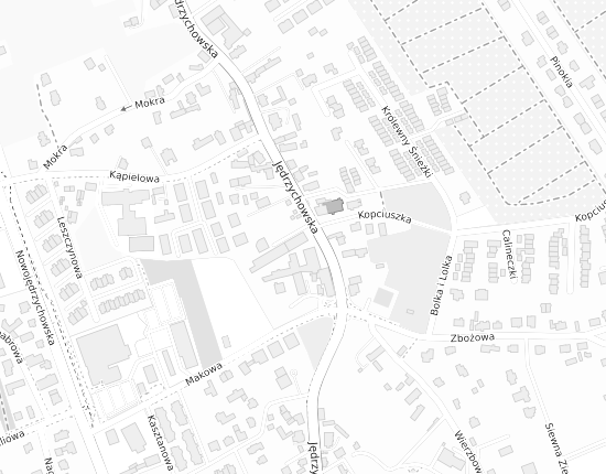 Mapa z adresem organizacji