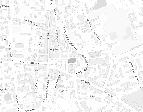 Mapa z adresem organizacji