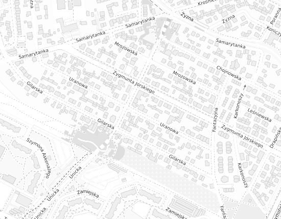Mapa z adresem organizacji