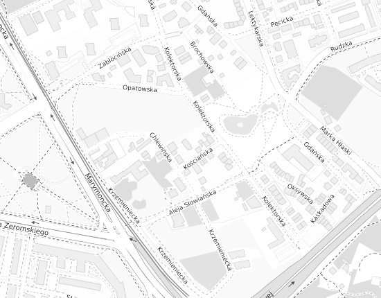 Mapa z adresem organizacji