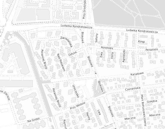 Mapa z adresem organizacji