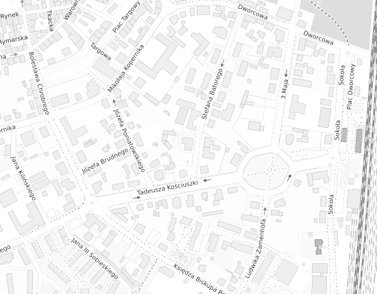 Mapa z adresem organizacji