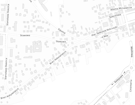 Mapa z adresem organizacji