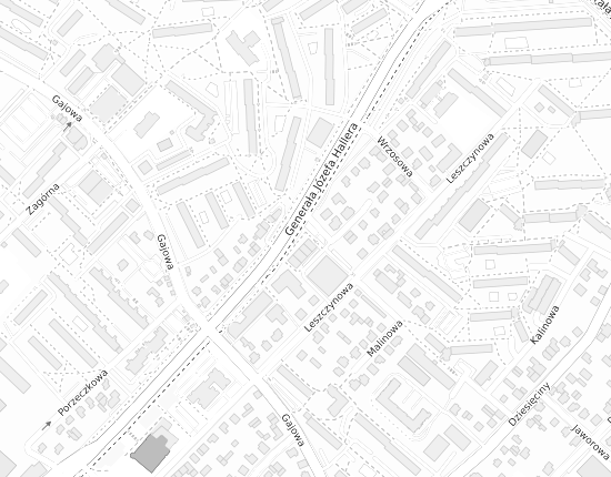 Mapa z adresem organizacji
