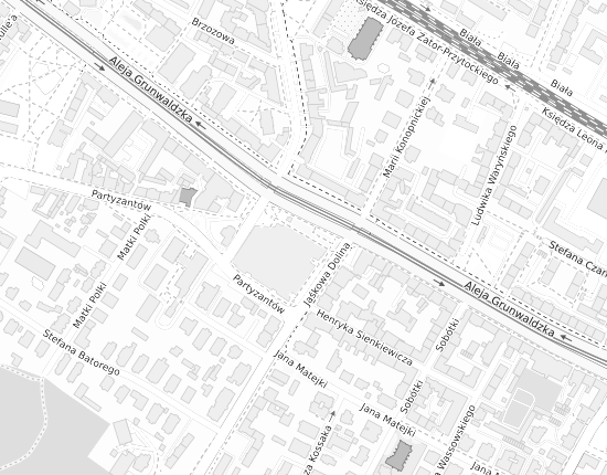 Mapa z adresem organizacji