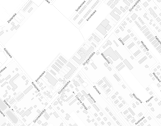 Mapa z adresem organizacji
