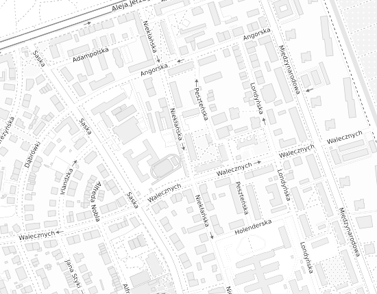 Mapa z adresem organizacji