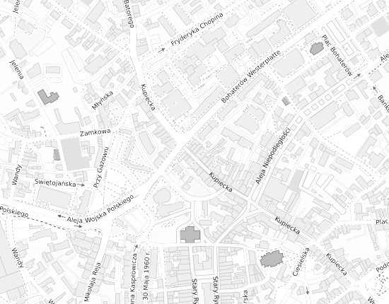 Mapa z adresem organizacji