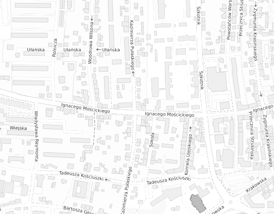 Mapa z adresem organizacji
