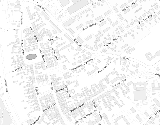 Mapa z adresem organizacji