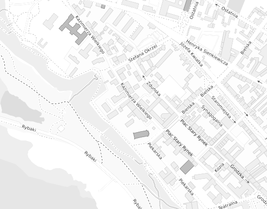 Mapa z adresem organizacji