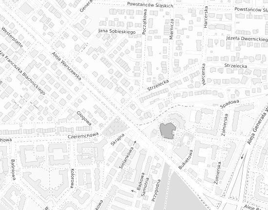 Mapa z adresem organizacji